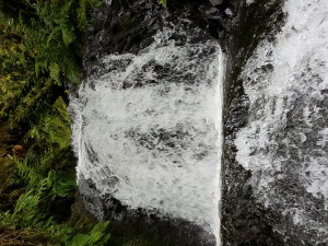 water water
