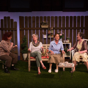Shaking The Tree Theatre Shaking The Tree Theatre