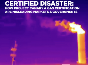 Certified Disaster Certified Disaster