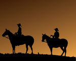 Cowboys Cowboys