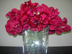 sweet peas