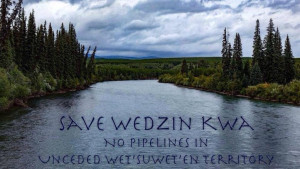Call for International Solidarity with Unist'ot'en & Gitdimt'en Camps, Tuesday Jan 8th