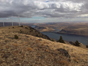 Goldendale Pumped Storage Goldendale Pumped Storage