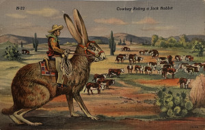 Image of a cowboy riding a very large jackrabbit.