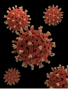 virus