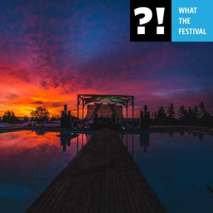 What The Festival 2016 What The Festival 2016