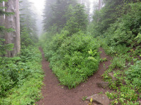 Bull Run Watershed