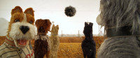 Paul Harrod talks about Isle of Dogs Paul Harrod talks about the new Wes Anderson animated feature Isle of Dogs on KBOO Radio with S.W. Conser's Words and Pictures