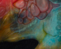 noel-taylor-art-marmor-detail-3-5675.jpg noel-taylor-art-marmor-detail-3-5675.jpg