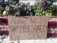 Nothing that is poisoned can grow Nothing that is poisoned can grow
