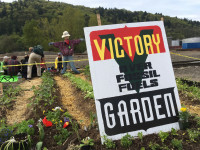 zenith victory garden spring 2019 zenith victory garden spring 2019
